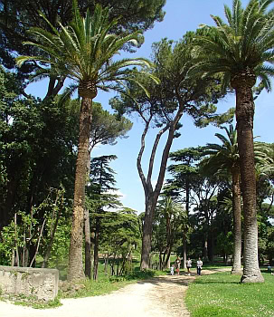 villa_celimontana_277