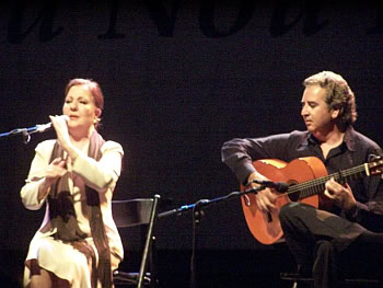 flamenco_tocaor_cantaor