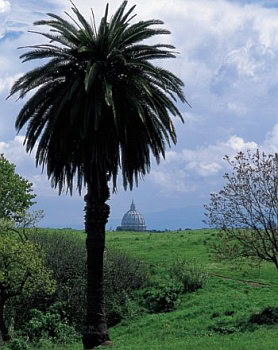 parco_del_pineto_4