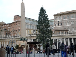 albero_di_natale_in_vaticano_piazza_san_pietro