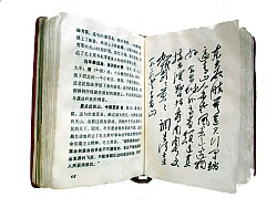 cina_libro