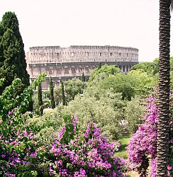 parco_di_Colle_Oppio_vista_sul_colosseo