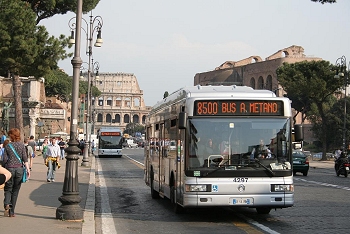 autobus_roma