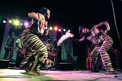 Castelli_in_Africa02