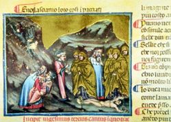immagine2