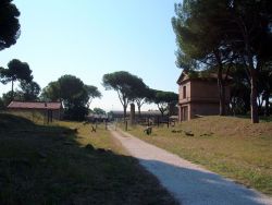 Parco_Tombe_della_Via_Latina_4