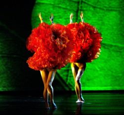 Momix_1