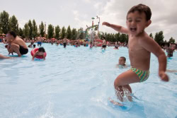 piscina zoomarine