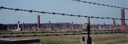 Auschwitzruins