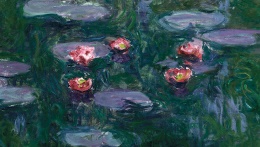 monet fb