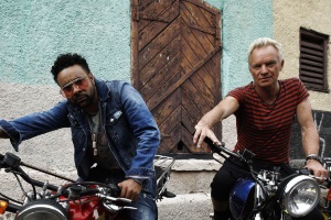 sting shaggy lr