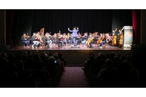 orchestra concerto