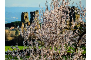 parcoappia