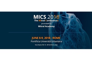 MICS 2018 preview