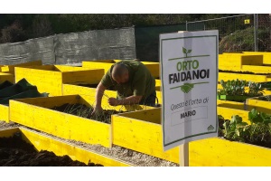 Orto fai da noi 5