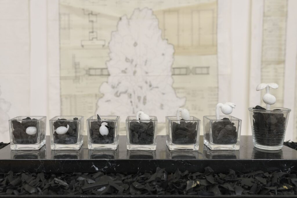 La mostra di Silvia Scaringella al Museo Bilotti