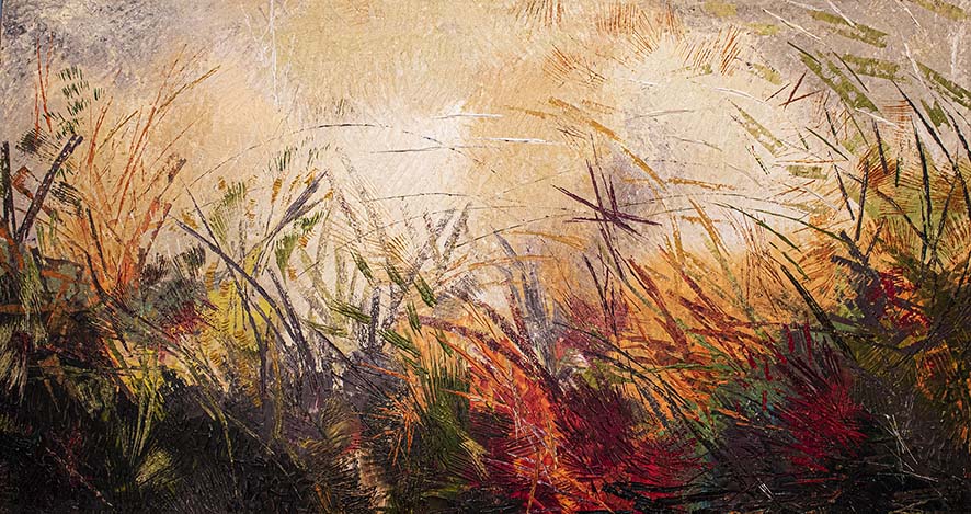 “Still life” al Museo Civico di Zoologia a Roma
