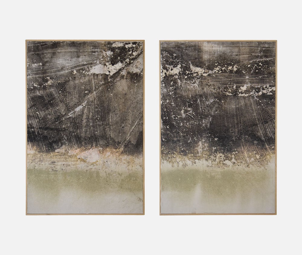 Natura e arte si incontrano alla Galleria Faber Natura e arte si incontrano alla Galleria Faber