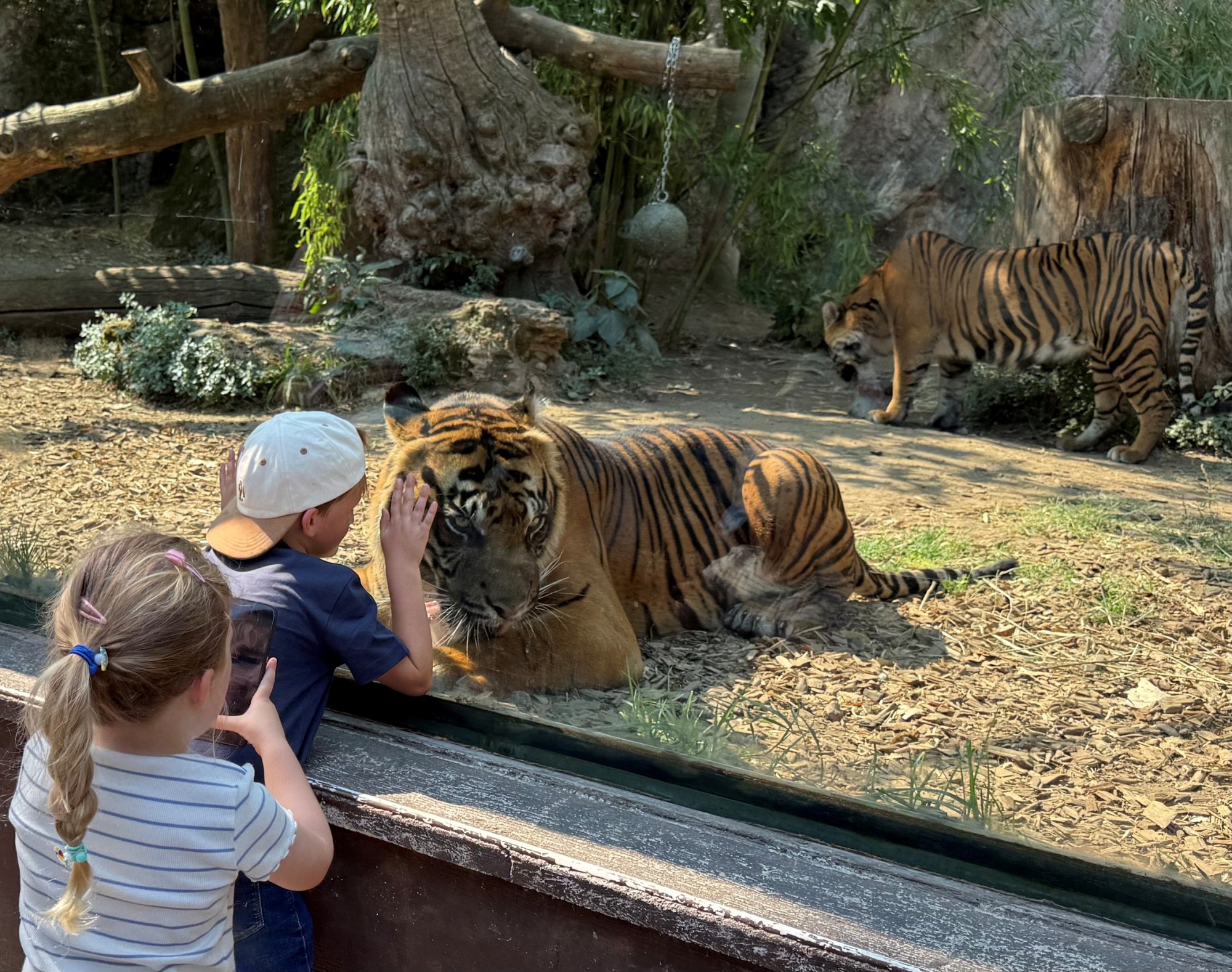 Il Bioparco di Roma lancia One Health Experience