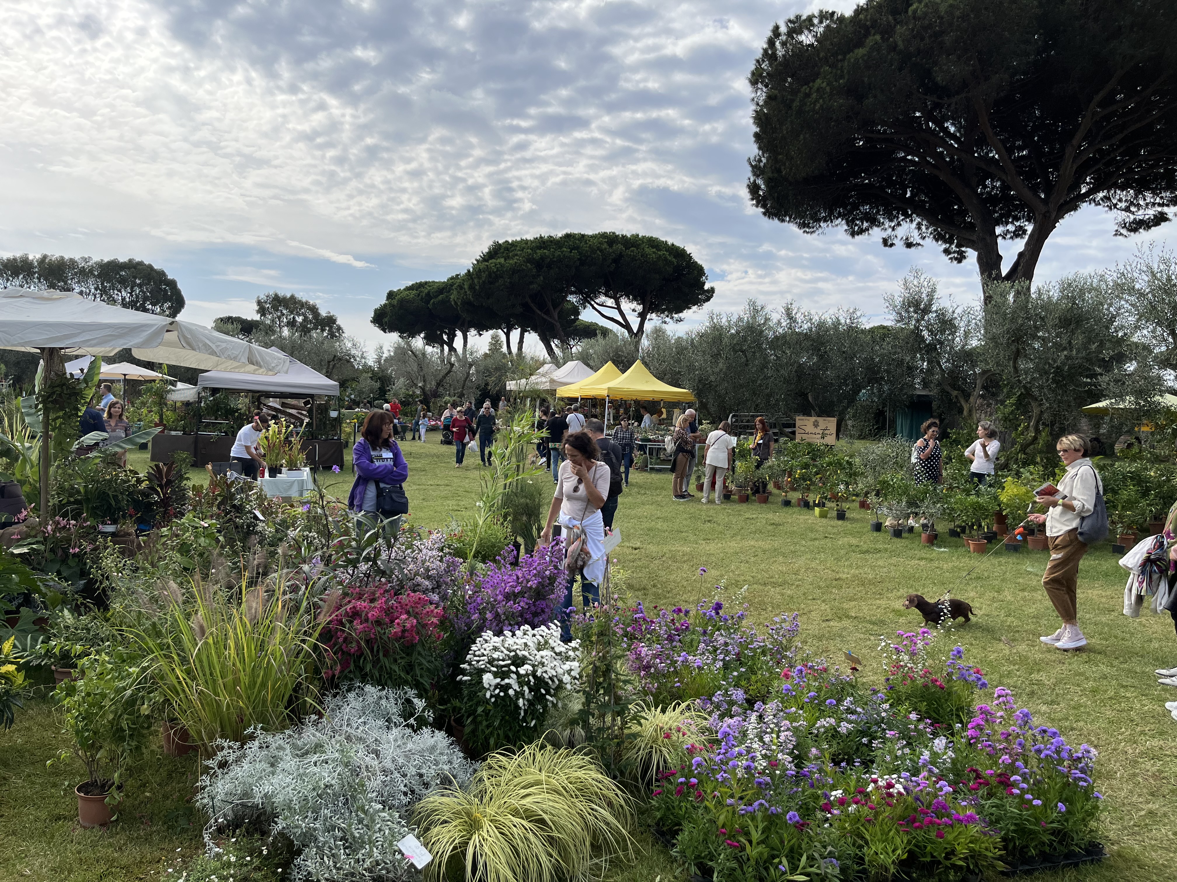 Autunno alla Landriana 2026: la venticinquesima edizione