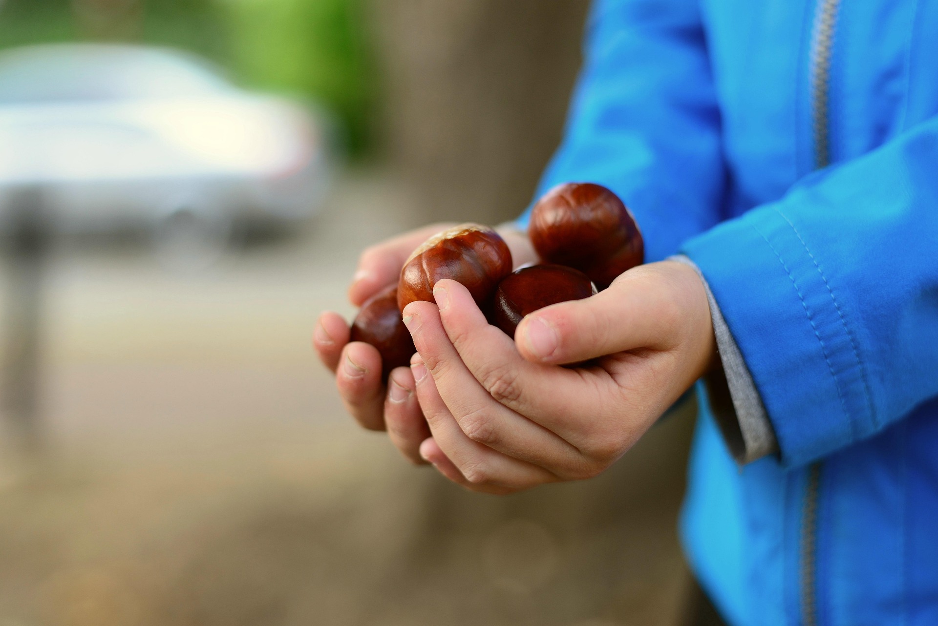 Autunno nel Lazio: tornano le feste dedicate ai sapori e alle tradizioni del territorio