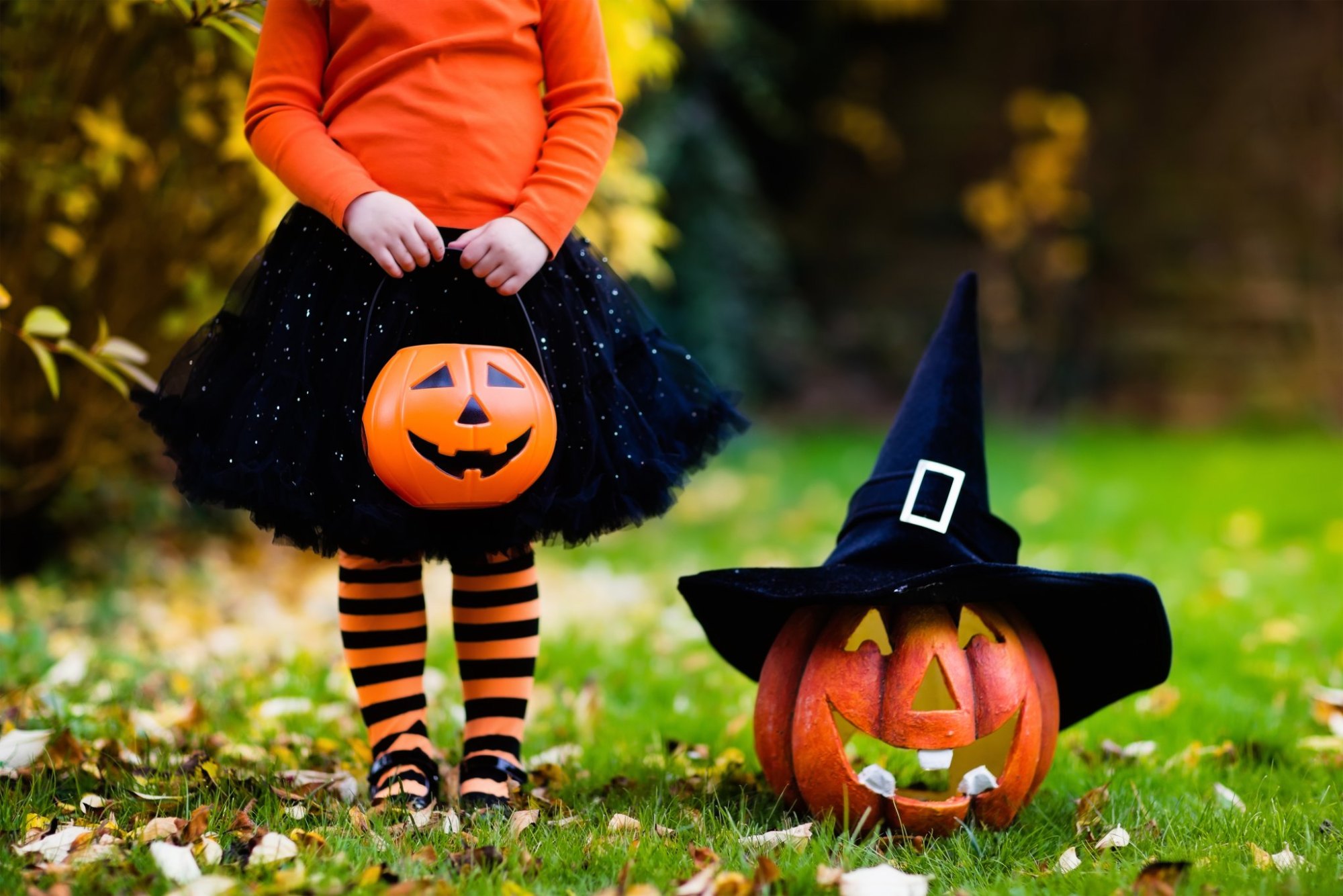 Los Días de los Muertos Experience al Teatro Parioli Costanzo Little girl in witch costume playing in autumn park. Child having fun at Halloween trick or treat. Kids trick or treating. Toddler kid with jack-o-lantern. Children with candy bucket in fall forest.