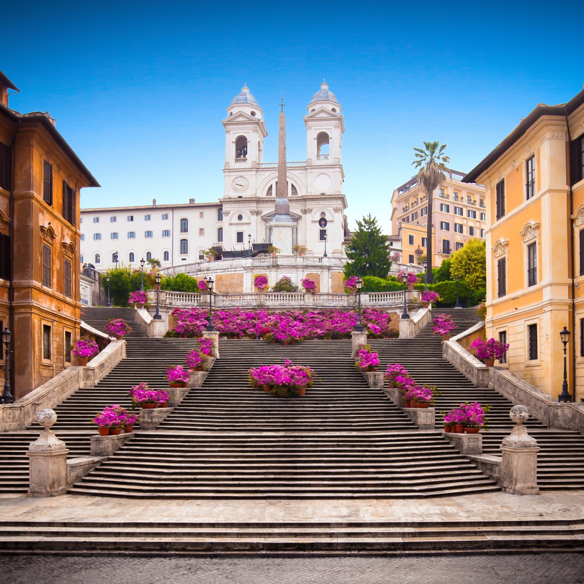 Una romantica sosta sulla scalinata più bella di Roma Spanish steps with azaleas at sunrise, Rome, Italy